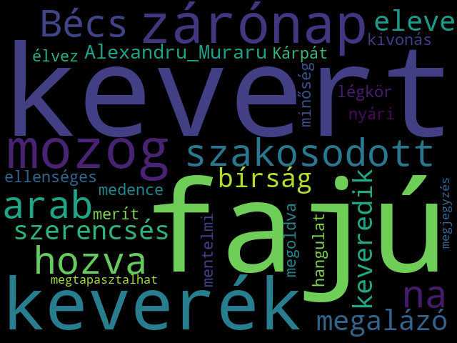 Topic 24 Wordcloud