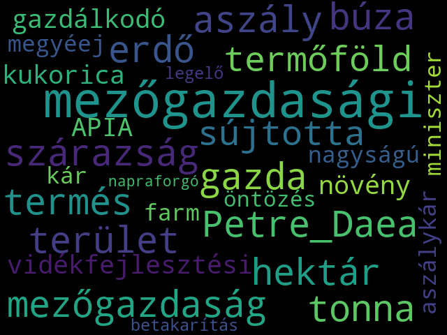 Topic 28 Wordcloud